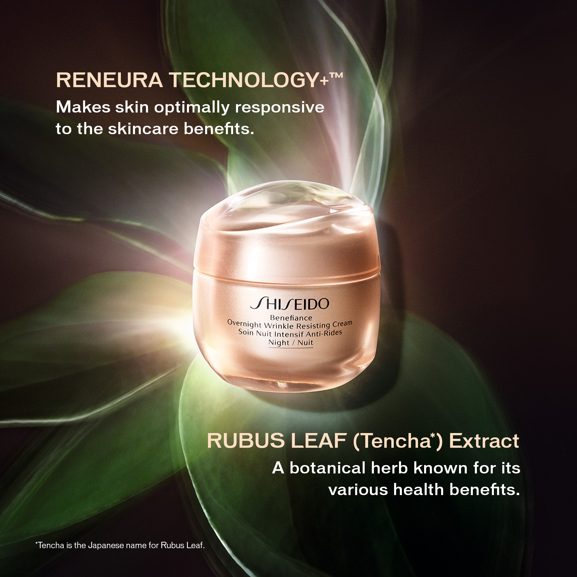 Overnight Wrinkle Resisting Cream,  Overnight Wrinkle Resisting Cream,