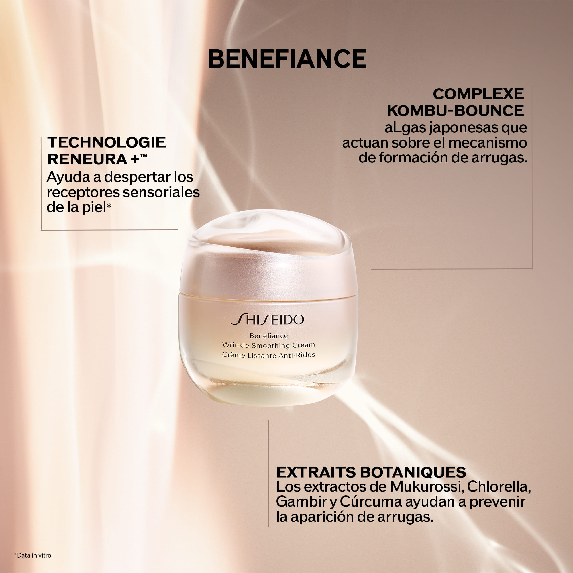 ANTI-WRINKLE RITUAL,